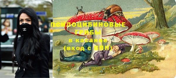 гидра Алапаевск