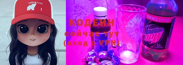 твердый Богданович
