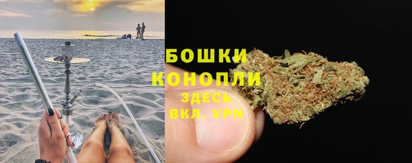 твердый Богданович