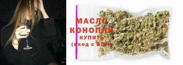индика Богородицк