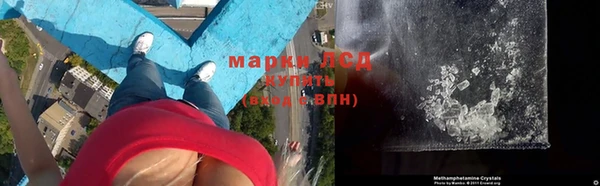 твердый Богданович