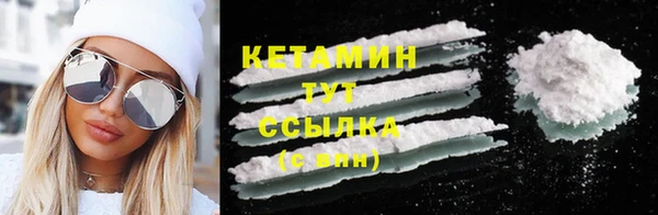 индика Богородицк
