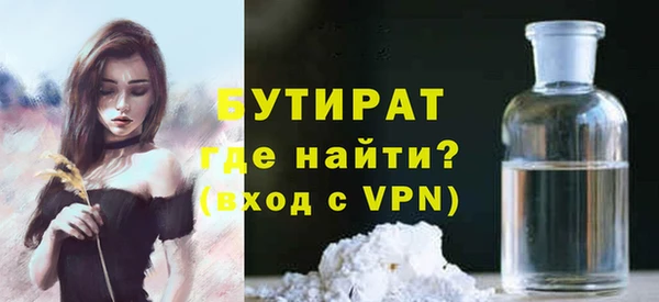 индика Богородицк