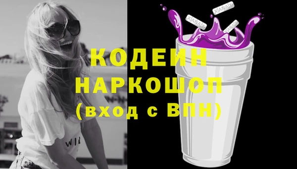 индика Богородицк