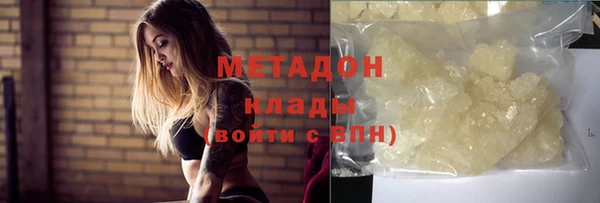 индика Богородицк