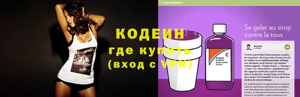твердый Богданович