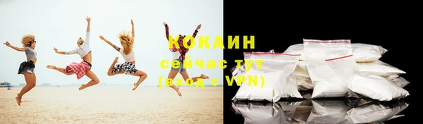 индика Богородицк