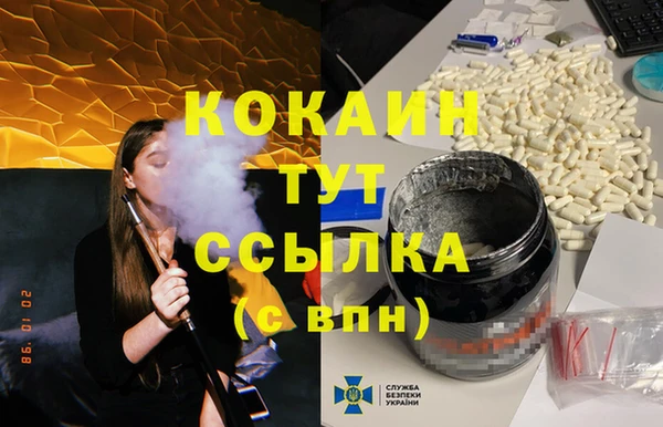 индика Богородицк