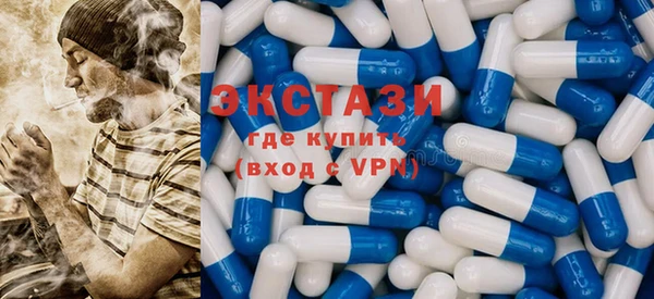 индика Богородицк