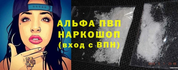 индика Богородицк