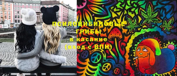 индика Богородицк