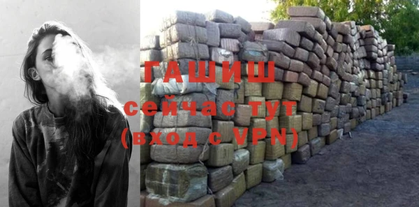 индика Богородицк