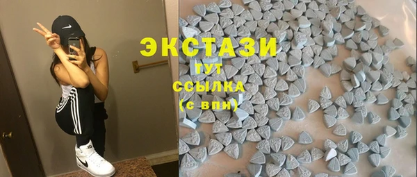 индика Богородицк
