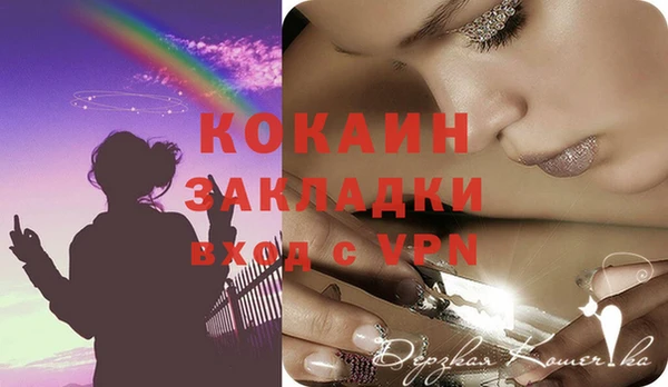 индика Богородицк