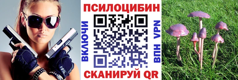 Псилоцибиновые грибы Magic Shrooms где продают Гаврилов-Ям